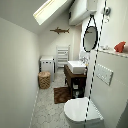 Dans Les Dunes Du Touquet